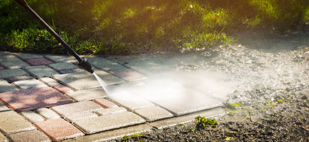 Best Sidewalk and Walkway Cleaning  in Burnt Mills, MD